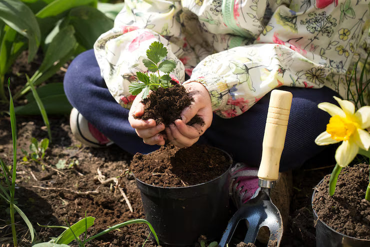 Neem Oil for Plants: A Simple Guide for Home Gardeners
