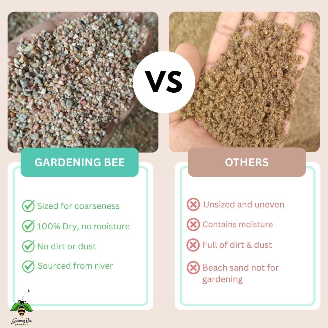 Coarse River Sand (2-4mm) 100% Natural Organic for Succulents, Bonsai, Gardens, Sand for Decorations, Plants, Bonsai Mix, Adeniums, Plant