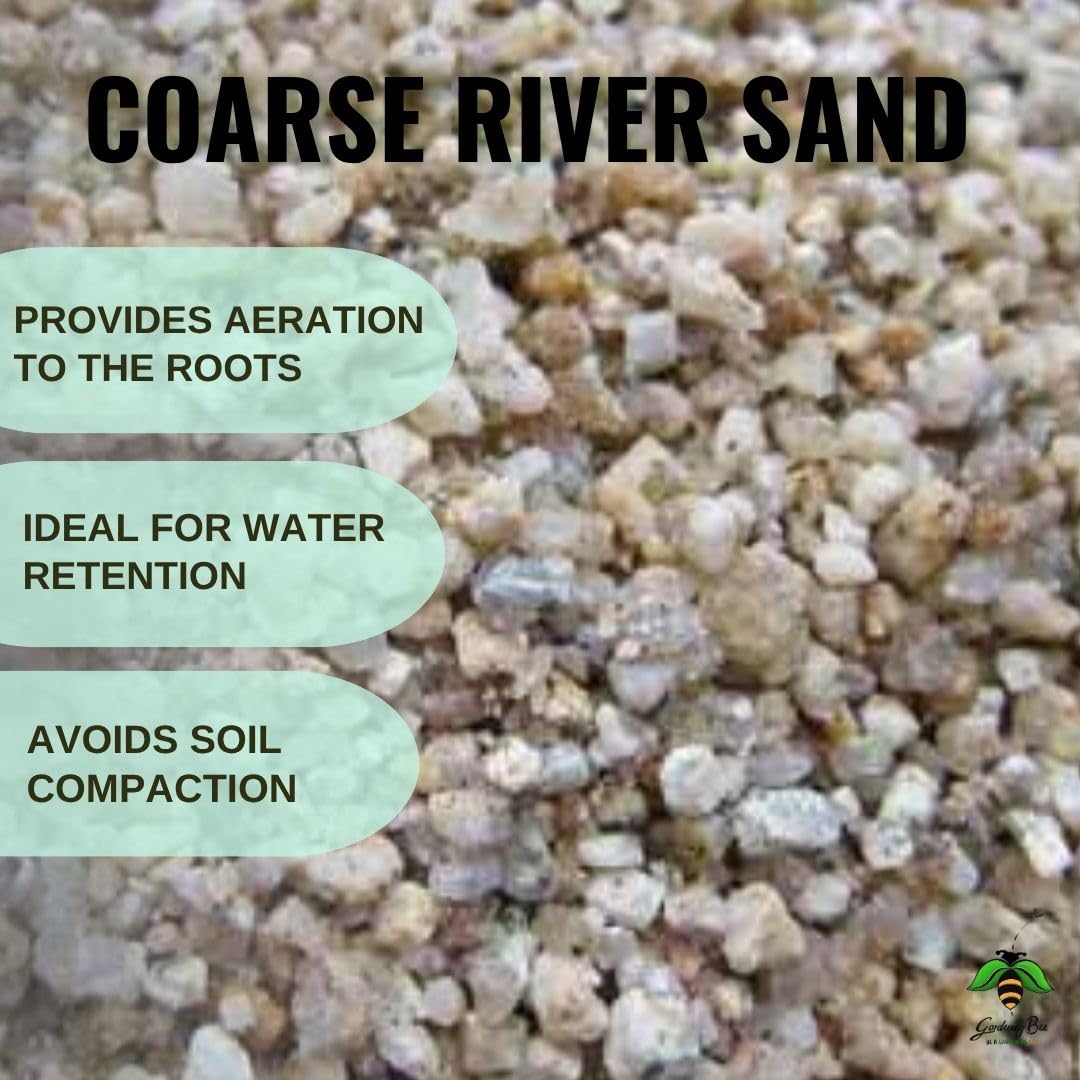 Coarse River Sand (2-4mm) 100% Natural Organic for Succulents, Bonsai, Gardens, Sand for Decorations, Plants, Bonsai Mix, Adeniums, Plant