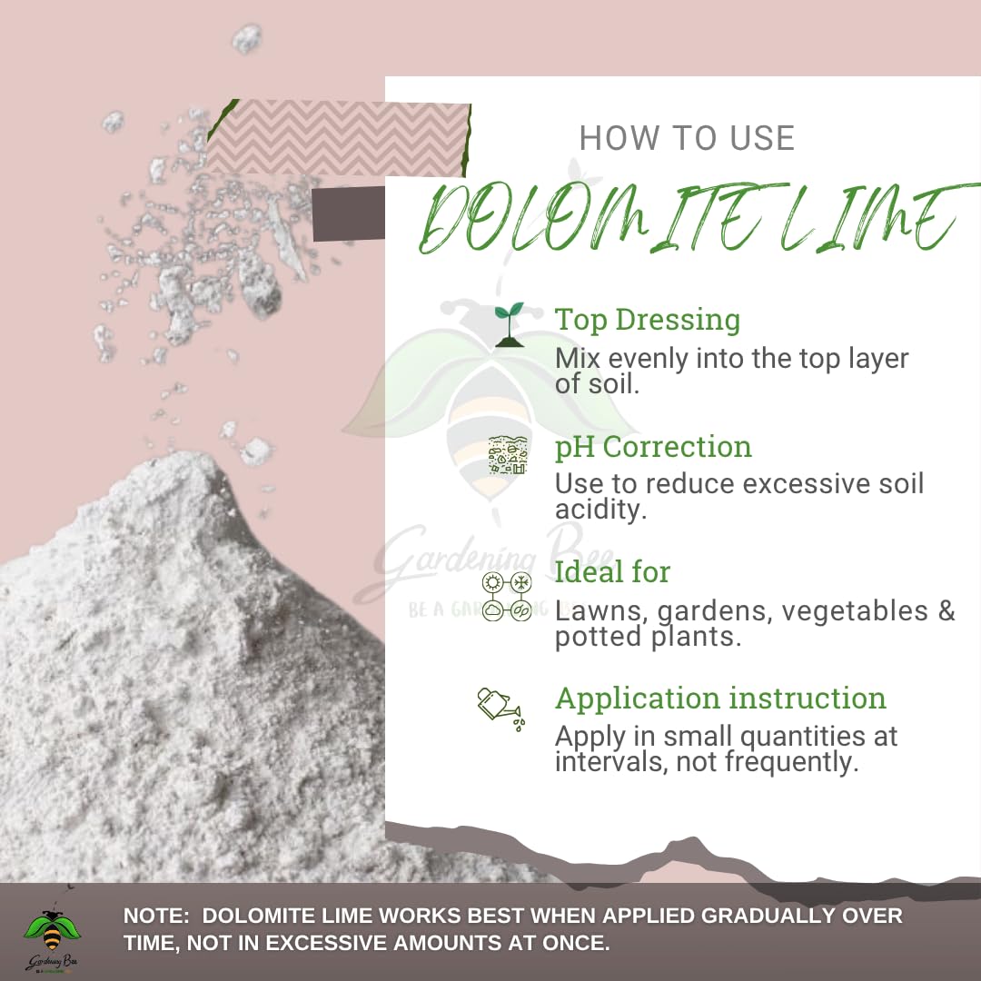 Dolomite Lime Powder for Gardens, Dolostone, Control PH, Calcium Magnesium Supplement for Plant, Soil Additive, Dolomite Chuna, Reduce Acidity, 100% Organic