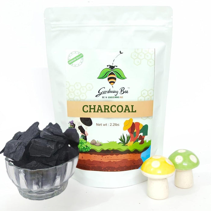 Wood Based Activated Charcoal for Orchid Potting, anthurium Plants, Horticultural Grade, Grilling, Barbecue, Baby Dhoop, BBQ Low Smoke Charcoal