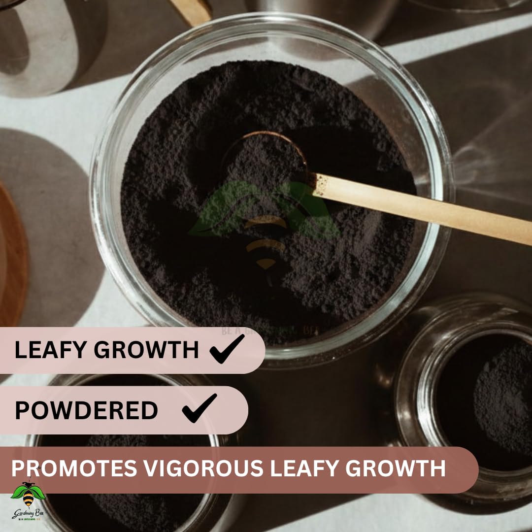 Blood Meal for Gardens, Nitrogen Rich Blood meal, Powder, Organic Alternative, 100% Natural, Plant Growth, Leafy Nutrient, nutrition for Potted plants