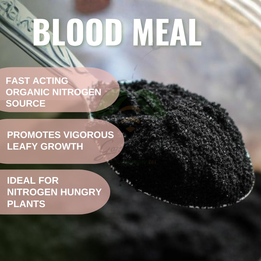 Blood Meal for Gardens, Nitrogen Rich Blood meal, Powder, Organic Alternative, 100% Natural, Plant Growth, Leafy Nutrient, nutrition for Potted plants