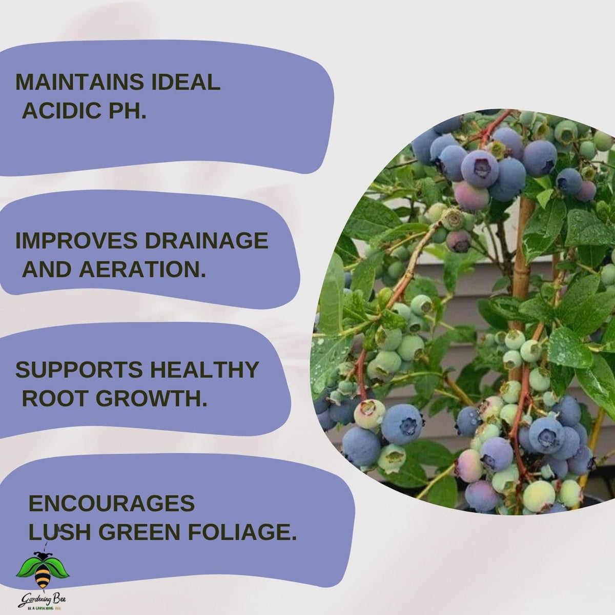 Acidic Soil Mix with Peat Moss & Pine Bark – Low pH 4.5-5.0, Moisture-Retaining, Nutrient-Rich Fertile Potting Mix for Blueberries, Azaleas, Gardenias & Acid-Loving Plants (5 Kilogram)