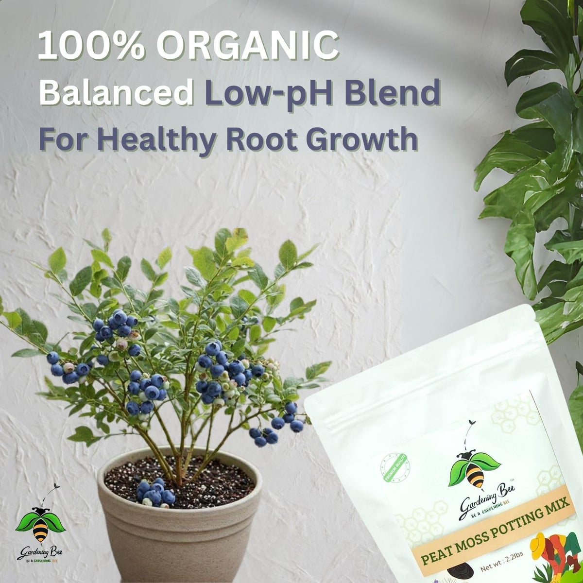 Acidic Soil Mix with Peat Moss & Pine Bark – Low pH 4.5-5.0, Moisture-Retaining, Nutrient-Rich Fertile Potting Mix for Blueberries, Azaleas, Gardenias & Acid-Loving Plants (5 Kilogram)