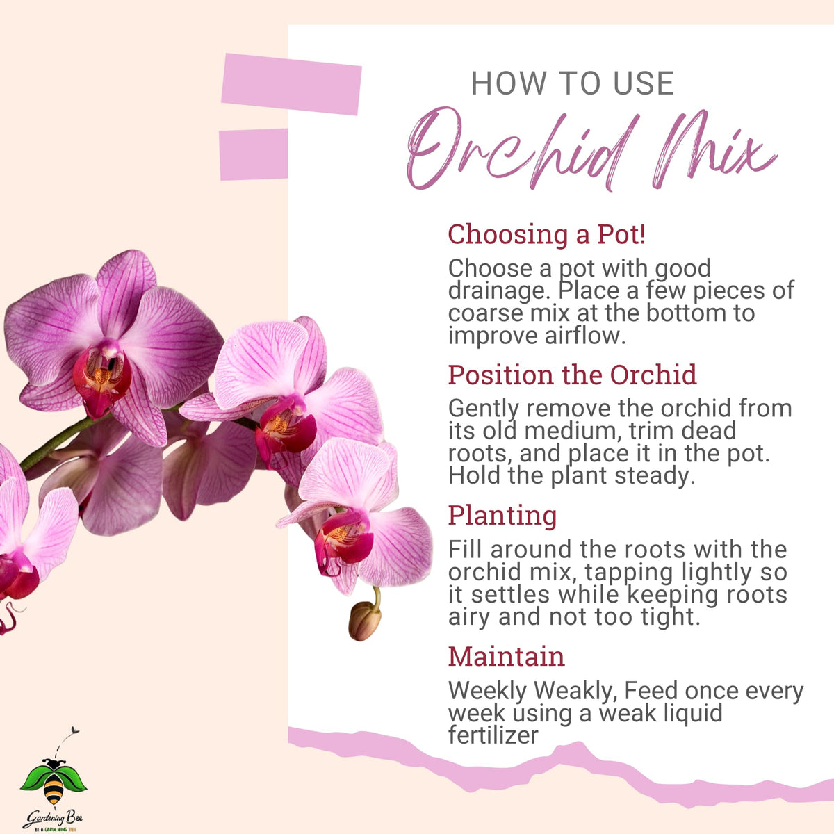 Orchid Soil Mix, Chunkiest Potting, Ready to use Mixture, Combo with Moss Grass, 100% Natural and Organic, Tall Shiny Orchids, Essential & Powerful