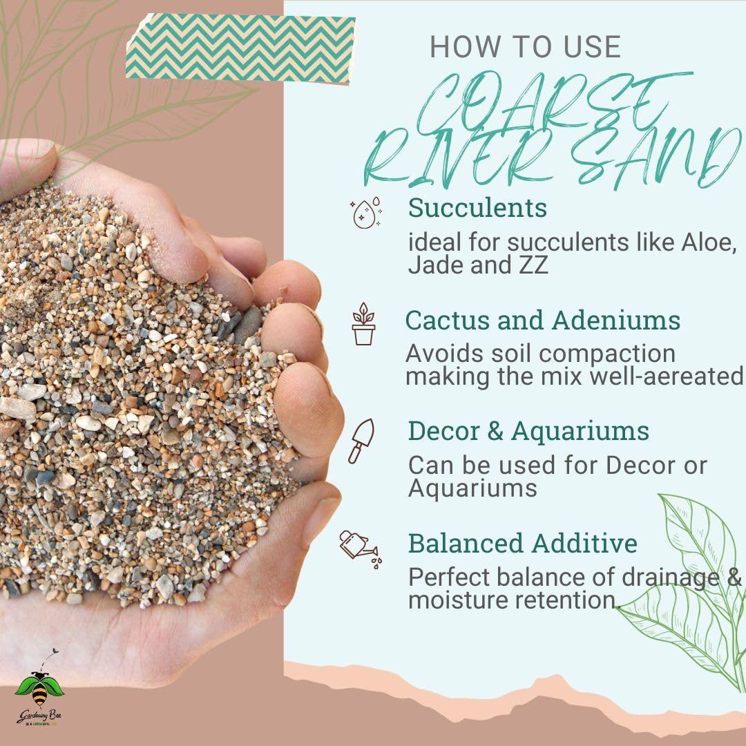 Coarse River Sand (2-4mm) 100% Natural Organic for Succulents, Bonsai, Gardens, Sand for Decorations, Plants, Bonsai Mix, Adeniums, Plant