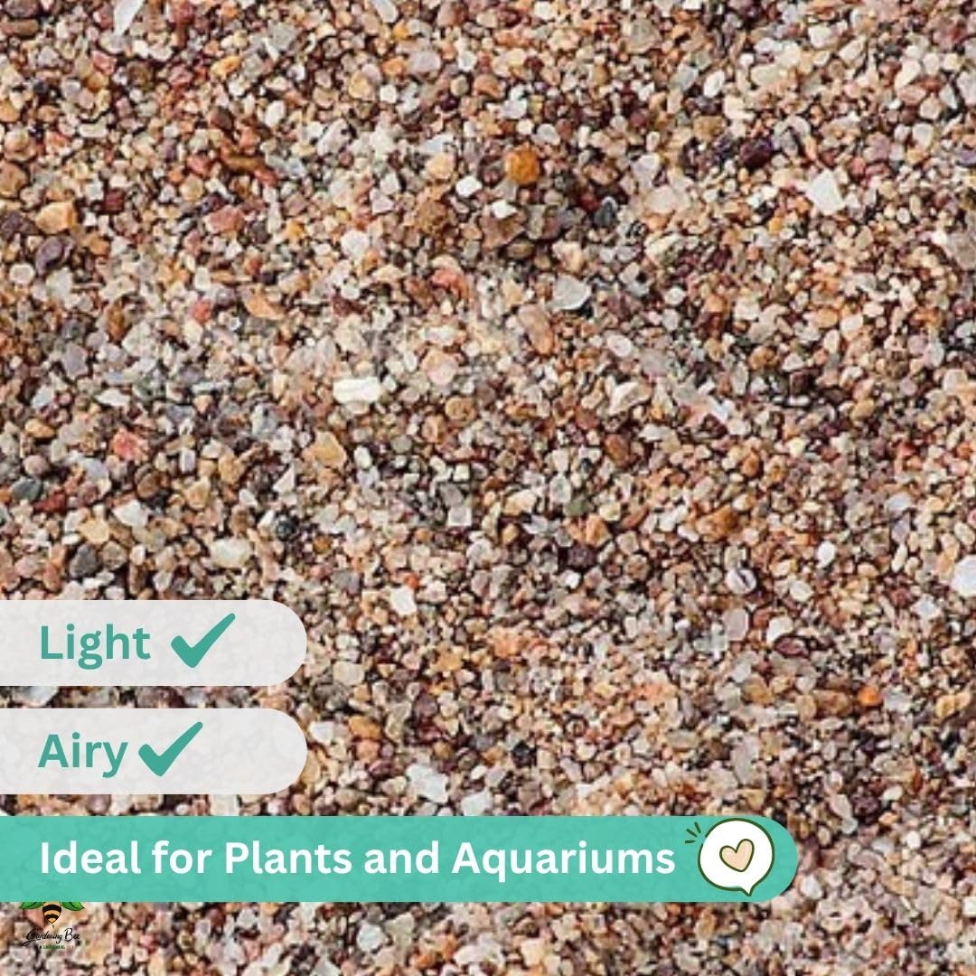 Coarse River Sand (2-4mm) 100% Natural Organic for Succulents, Bonsai, Gardens, Sand for Decorations, Plants, Bonsai Mix, Adeniums, Plant
