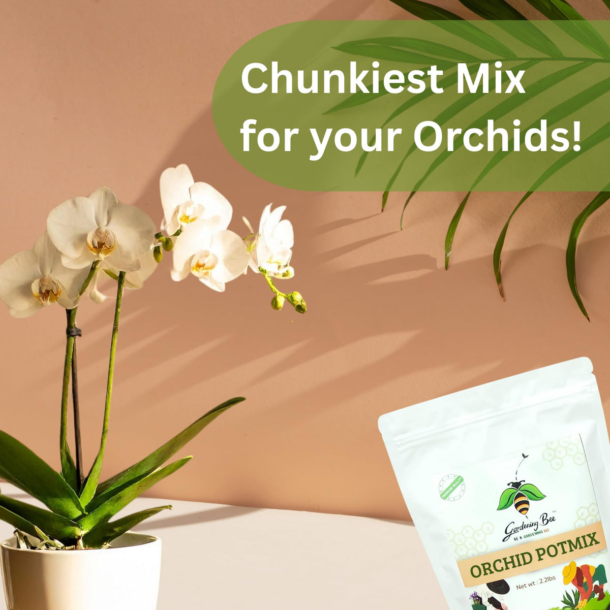 Orchid Soil Mix, Chunkiest Potting, Ready to use Mixture, Combo with Moss Grass, 100% Natural and Organic, Tall Shiny Orchids, Essential & Powerful