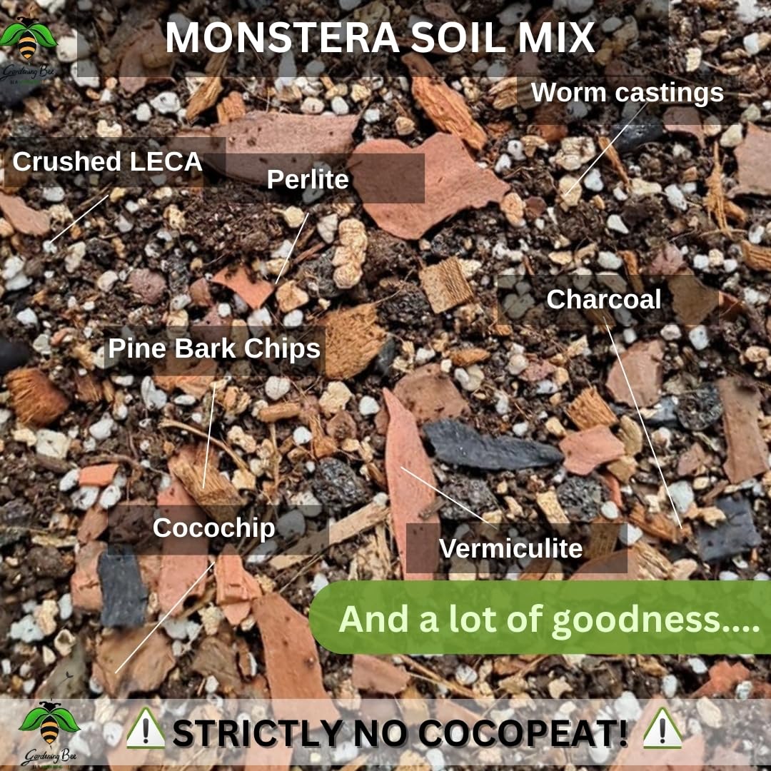 Monstera Soil Mix, Ideal Soilmix for Monsteras, 100% Natural and Organic, Ideal Potmix, Potting Mixture, Ready to Use, Well Drained Mix