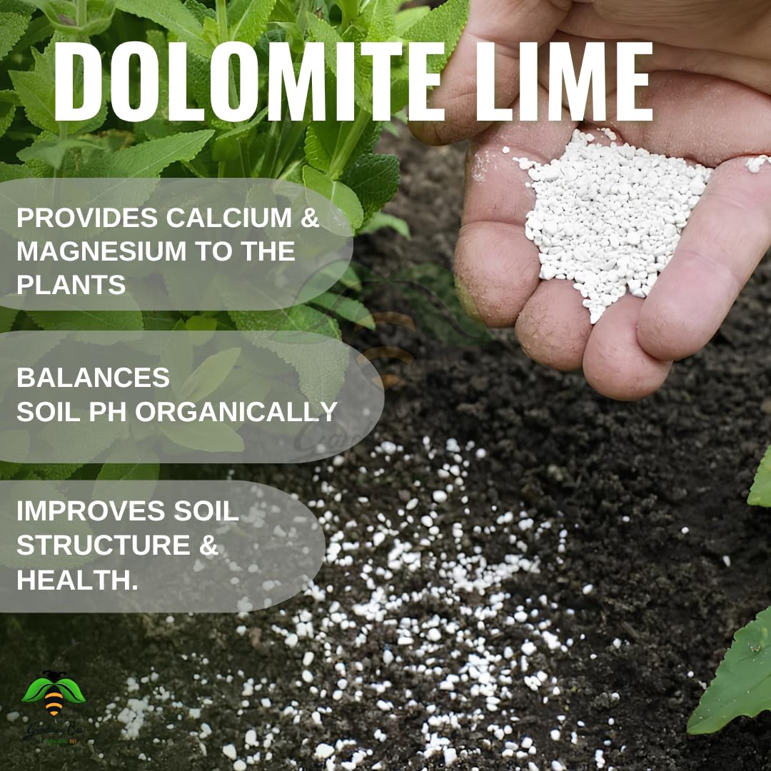 Dolomite Lime Powder for Gardens, Dolostone, Control PH, Calcium Magnesium Supplement for Plant, Soil Additive, Dolomite Chuna, Reduce Acidity, 100% Organic