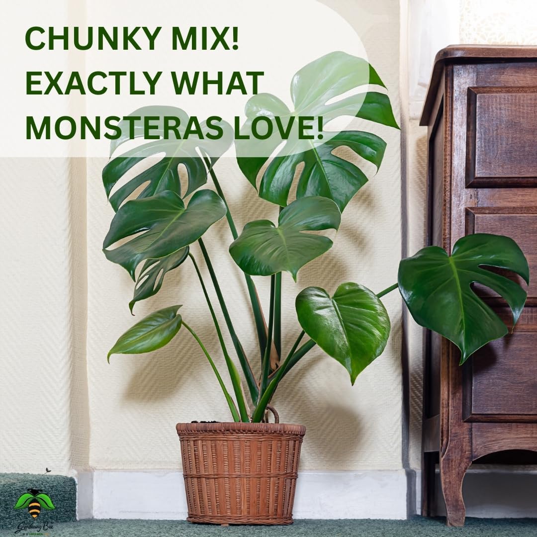 Monstera Soil Mix, Ideal Soilmix for Monsteras, 100% Natural and Organic, Ideal Potmix, Potting Mixture, Ready to Use, Well Drained Mix