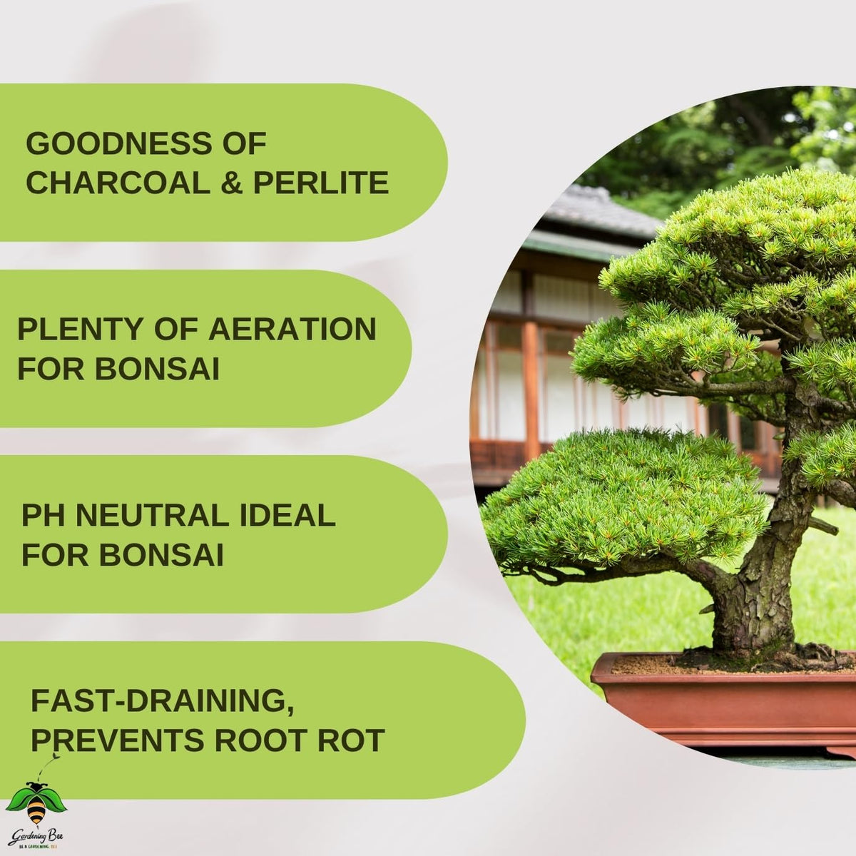 Bonsai Potting Mix Essential Organic Premium Soil for BonsaiMix | Curated by Bonsai Artists | Ready to use Plants Loose, Well-Drained, Porous Holds Optimum Moisture
