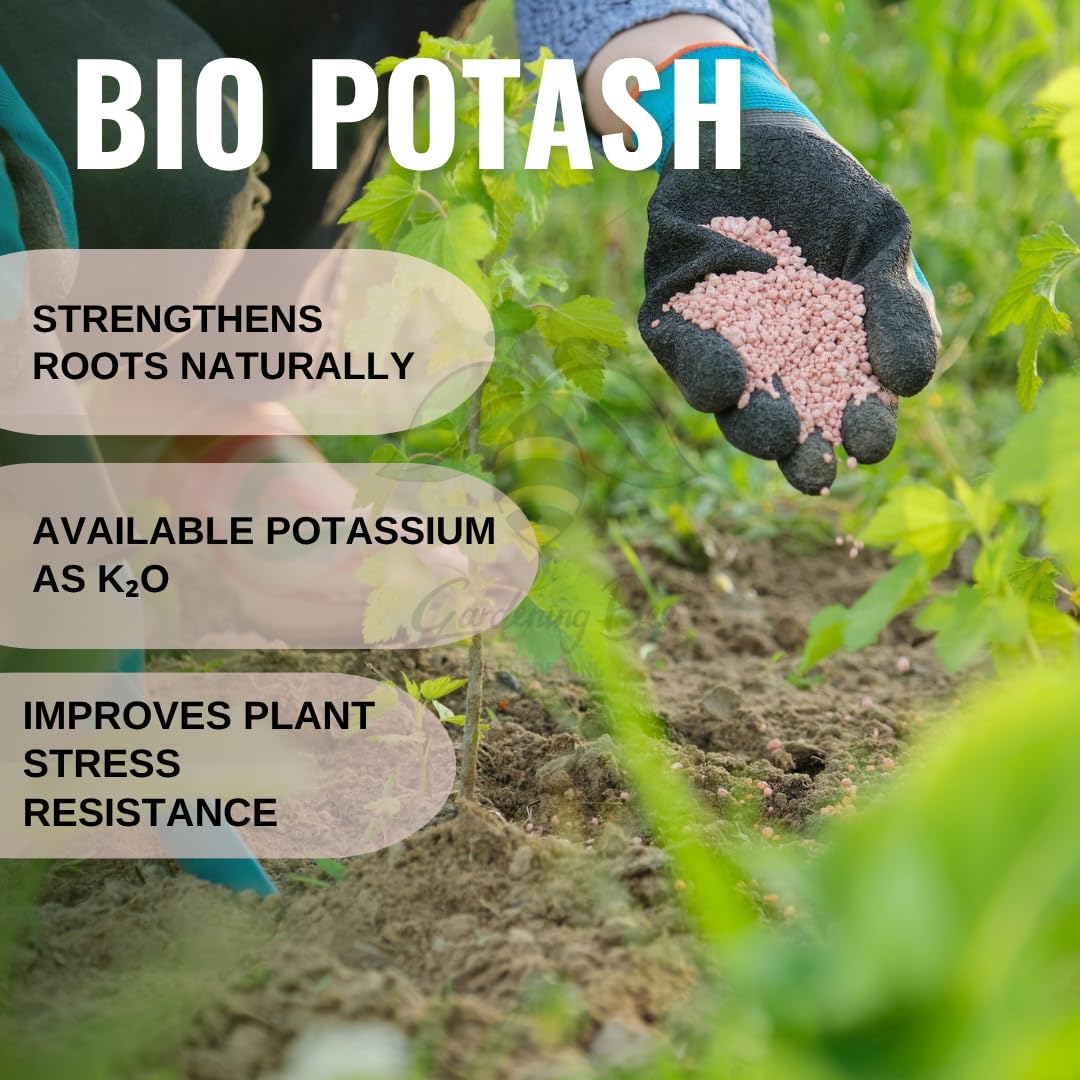 Bio Potash, PDM Potash Granules, Organic Manure for Plants, Compost, Flowering and Fruiting Booster, Potted Plants & Gardens 100% Natural for Plant