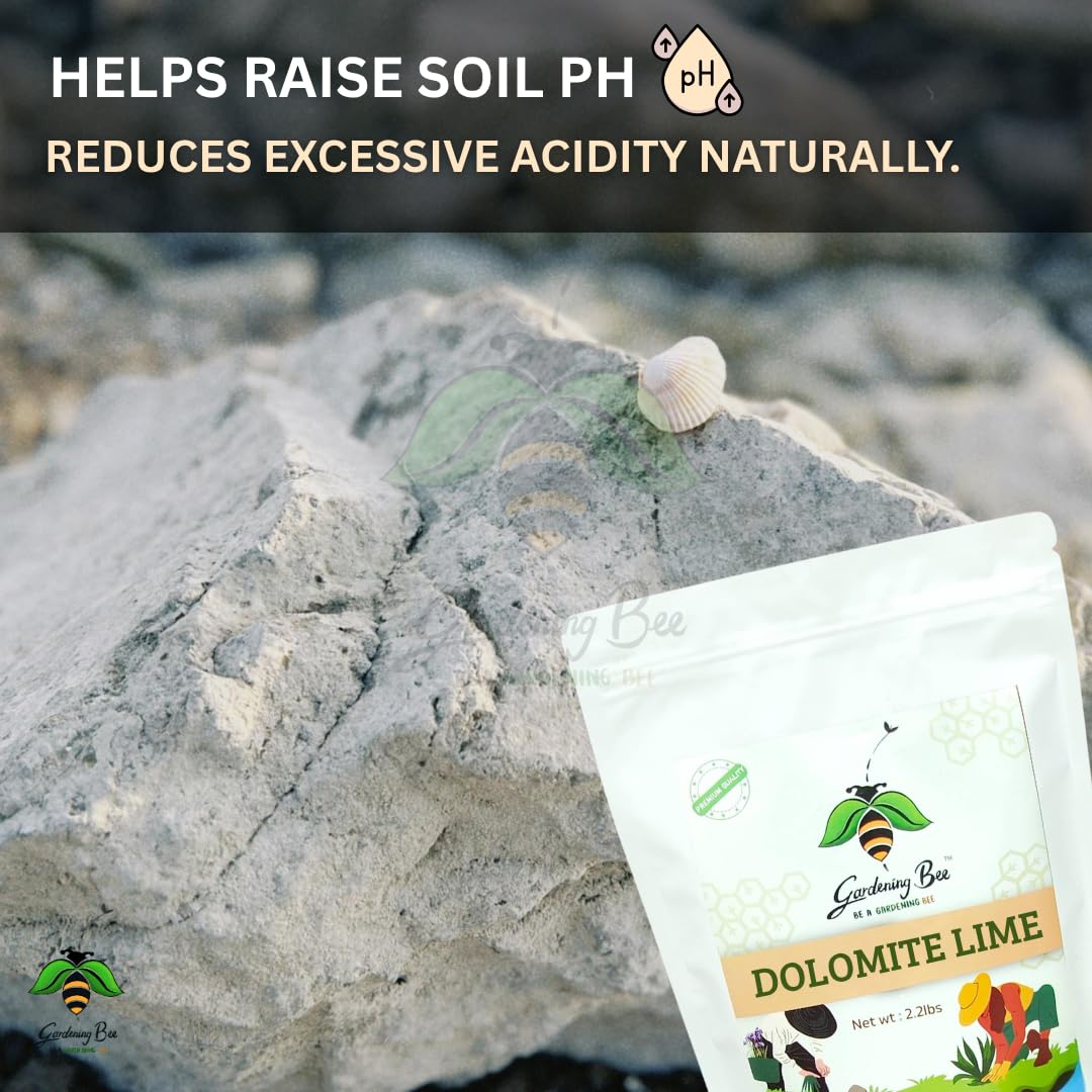 Dolomite Lime Powder for Gardens, Dolostone, Control PH, Calcium Magnesium Supplement for Plant, Soil Additive, Dolomite Chuna, Reduce Acidity, 100% Organic