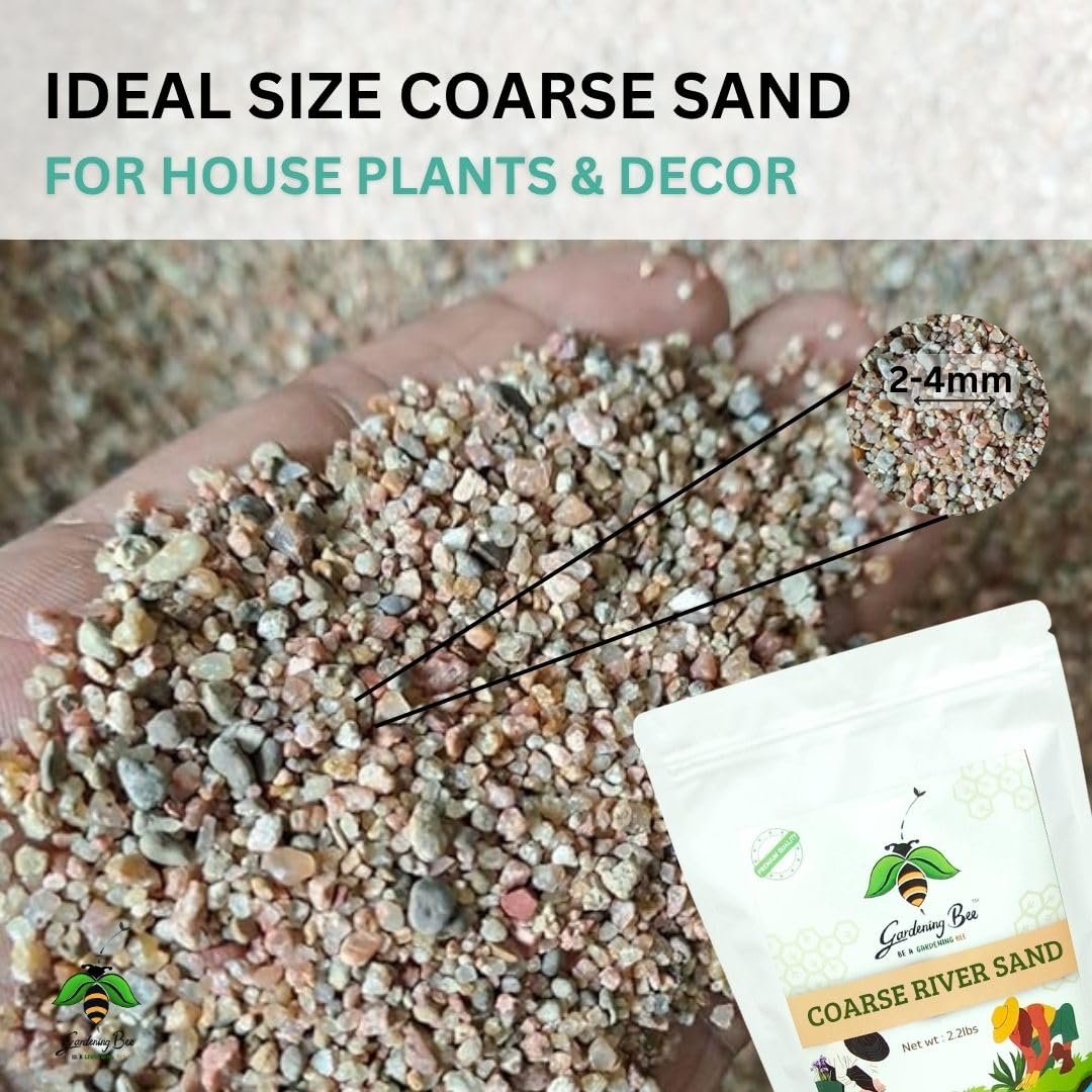 Coarse River Sand (2-4mm) 100% Natural Organic for Succulents, Bonsai, Gardens, Sand for Decorations, Plants, Bonsai Mix, Adeniums, Plant