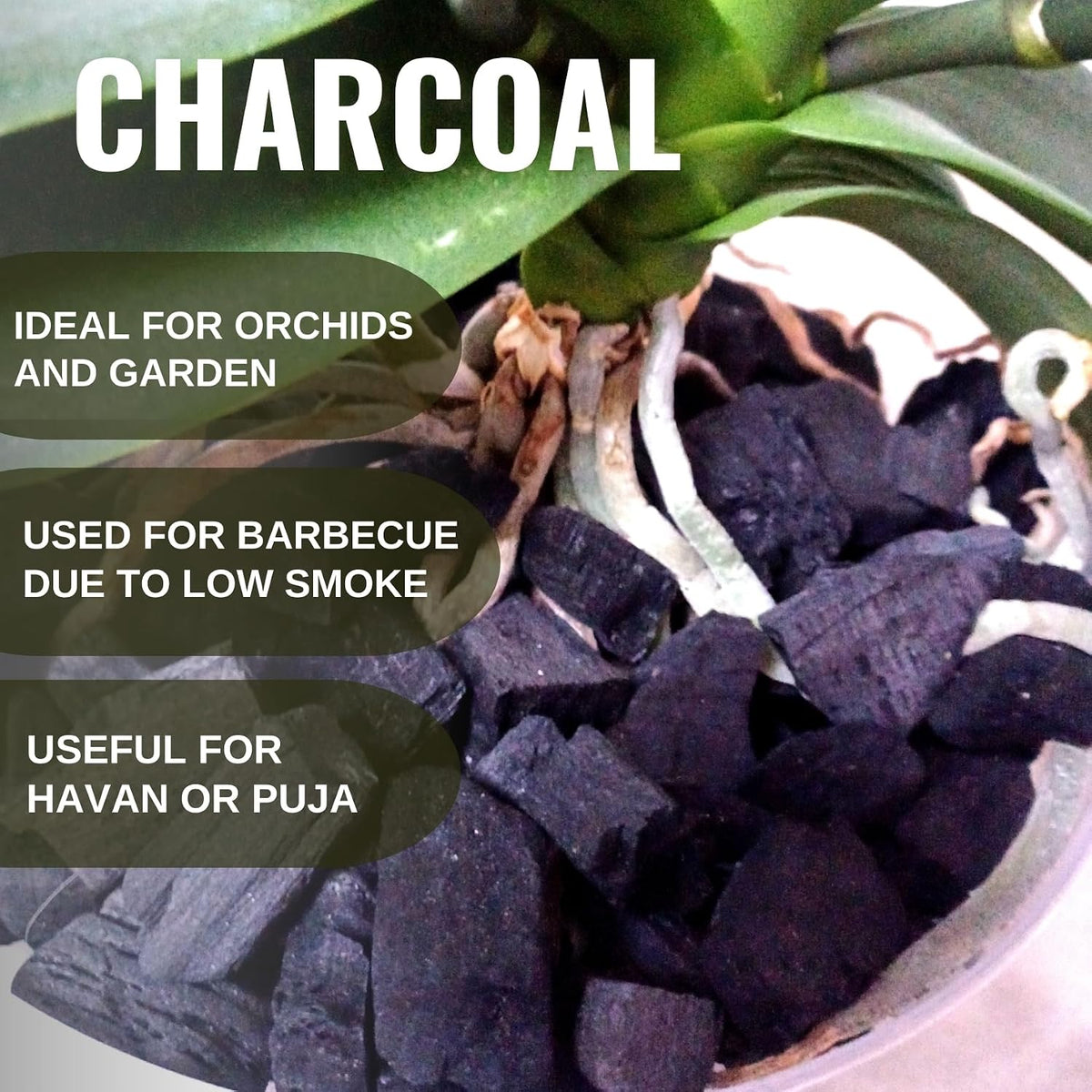 Wood Based Activated Charcoal for Orchid Potting, anthurium Plants, Horticultural Grade, Grilling, Barbecue, Baby Dhoop, BBQ Low Smoke Charcoal