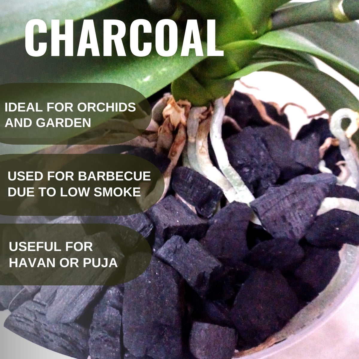 Wood Based Activated Charcoal for Orchid Potting, anthurium Plants, Horticultural Grade, Grilling, Barbecue, Baby Dhoop, BBQ Low Smoke Charcoal