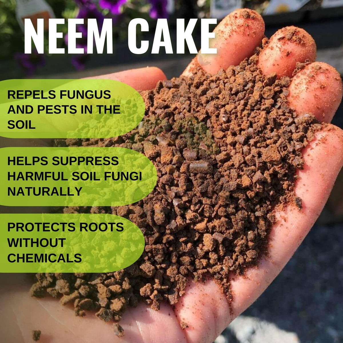 Neem Cake Powder Form, 100% Natural and Organic, Pest Resistant, for Plants, Succulent, Cactus, Orchids, Garden, Neem Khali, Contains Min 5% Neem Oil