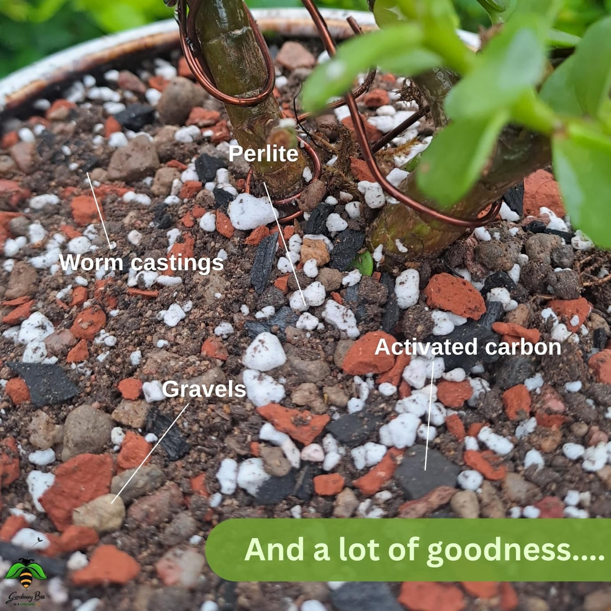Bonsai Potting Mix Essential Organic Premium Soil for BonsaiMix | Curated by Bonsai Artists | Ready to use Plants Loose, Well-Drained, Porous Holds Optimum Moisture
