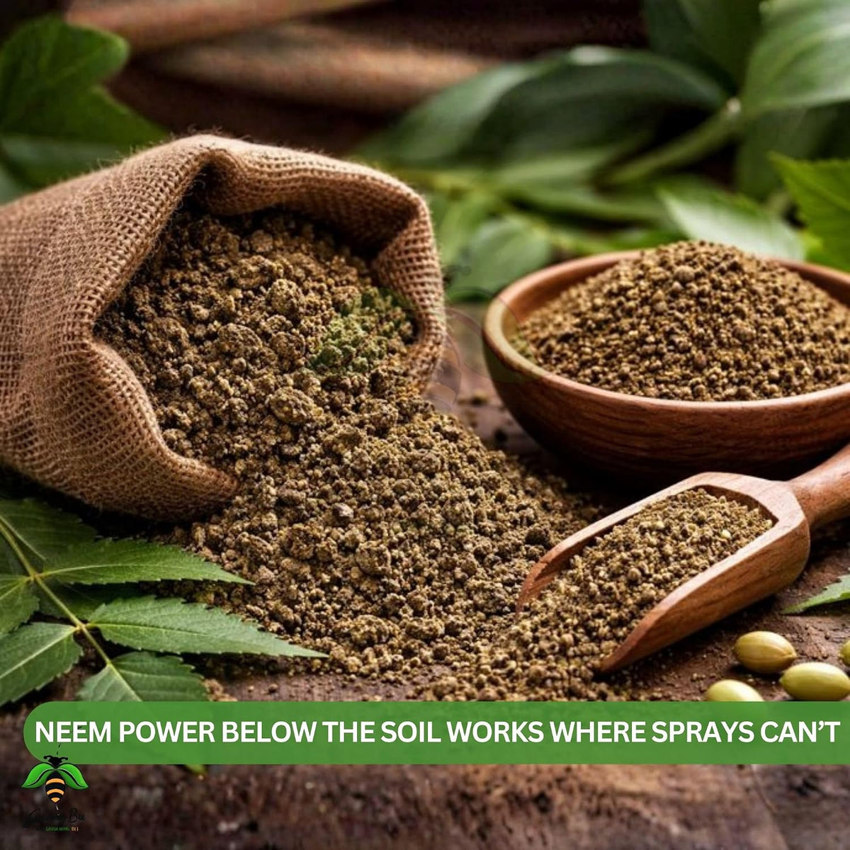 Neem Cake Powder Form, 100% Natural and Organic, Pest Resistant, for Plants, Succulent, Cactus, Orchids, Garden, Neem Khali, Contains Min 5% Neem Oil