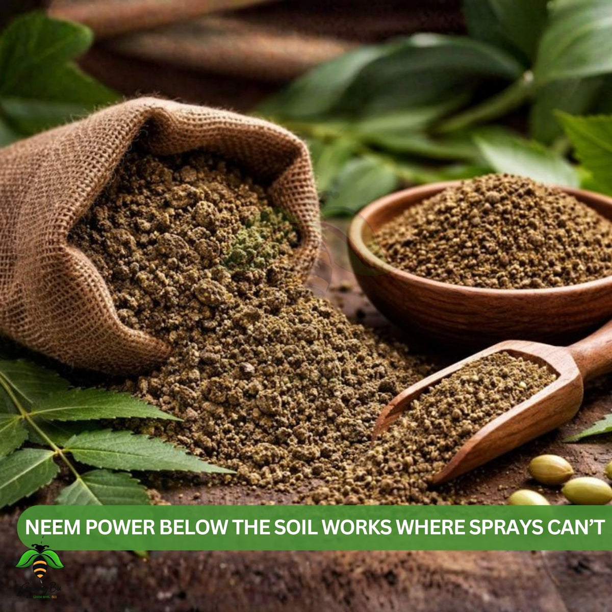 Neem Cake Powder Form, 100% Natural and Organic, Pest Resistant, for Plants, Succulent, Cactus, Orchids, Garden, Neem Khali, Contains Min 5% Neem Oil