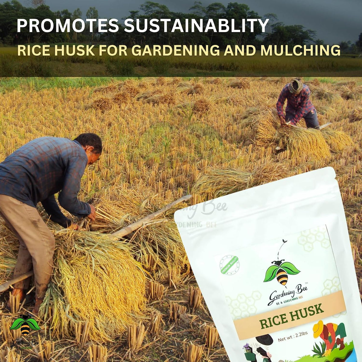 Organic Rice Hulls (Husk) for Plants  |Best Paddy Husk for Horticulture Grade 100% Natural, Rice Husk for Gardening, Ideal Soilmix and Mulching, Potting Mix, beding