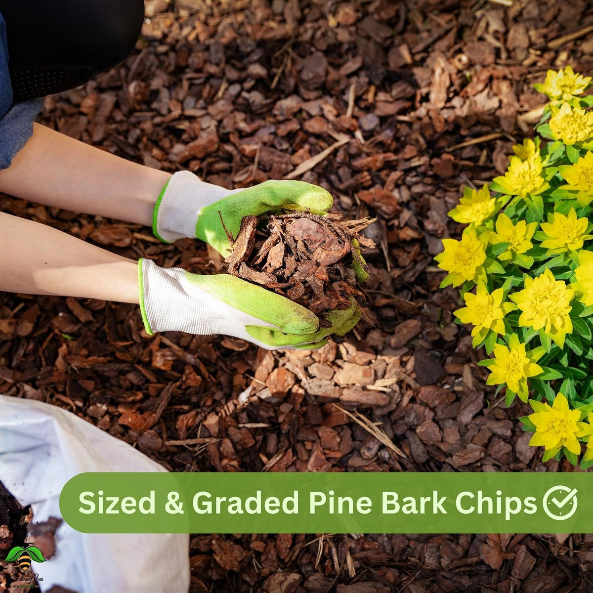 Pine Bark Chips 12-25 MM Size, Ideal for Arial Orchid, Fully Dry, 100% Organic and Natural, for Mature Orchids, Graded to Size, Pine Tree Bark Chip