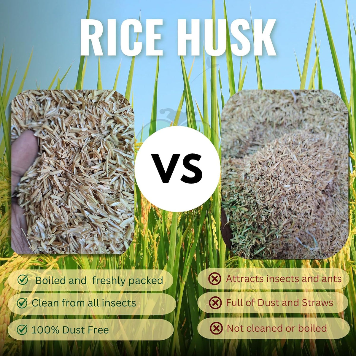 Organic Rice Hulls (Husk) for Plants  |Best Paddy Husk for Horticulture Grade 100% Natural, Rice Husk for Gardening, Ideal Soilmix and Mulching, Potting Mix, beding
