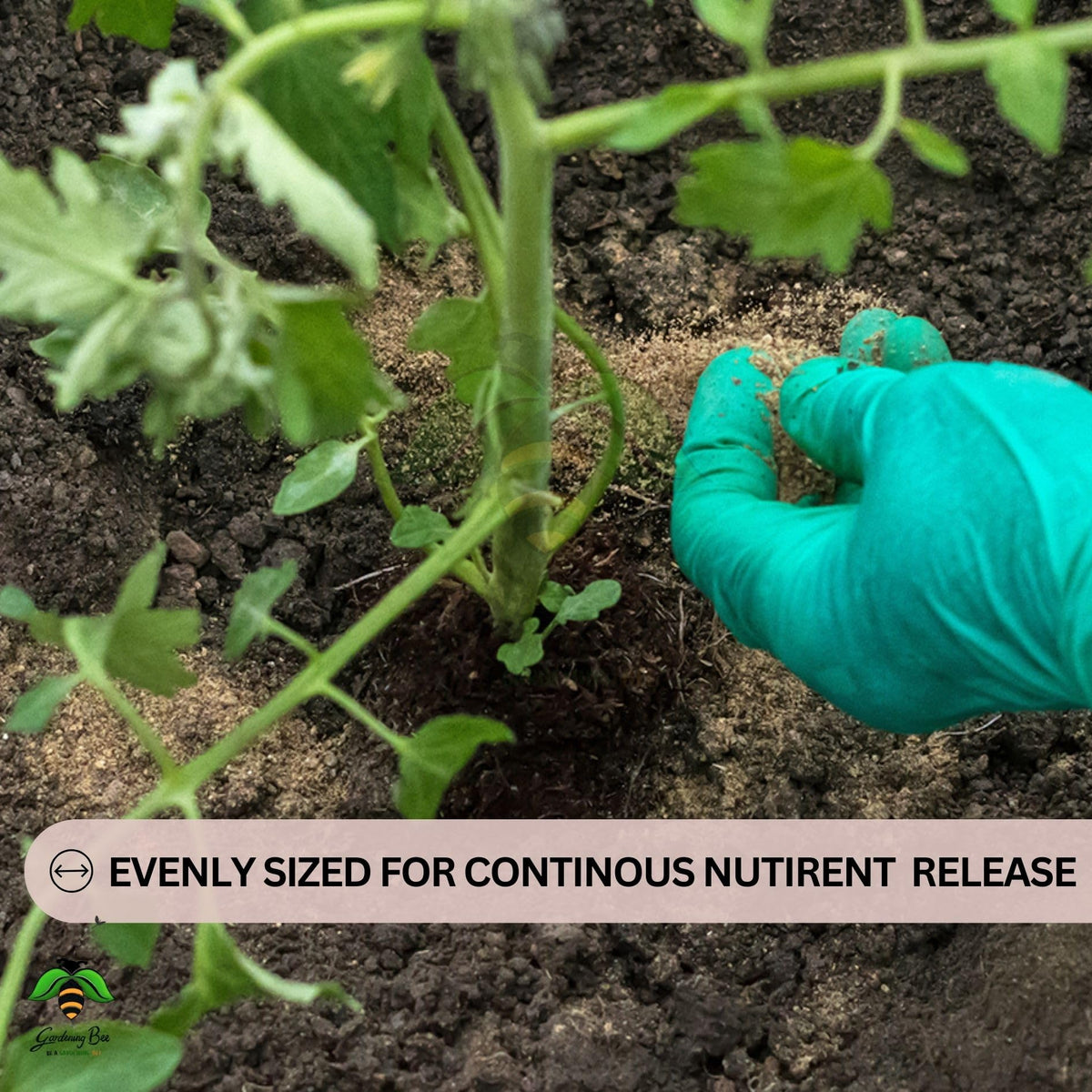 Bone Meal Powder,  Manure for Plants, 100% Organic & Natural, Calcium and Phosphorus, Slow Release, Steamed, Sterlised for Terrace, Balcony Garden