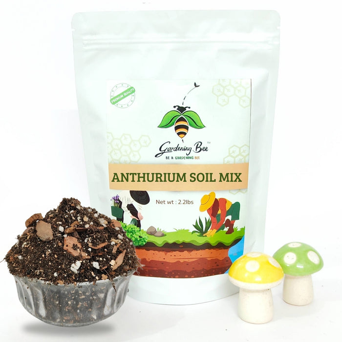 Gardening Bee Anthurium Mix – Premium Potting Media for Healthy Anthurium Growth (1 Kilogram)